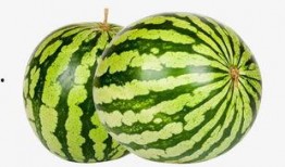 52每日大瓜视频,揭秘娱乐圈幕后故事，带你领略明星真实生活